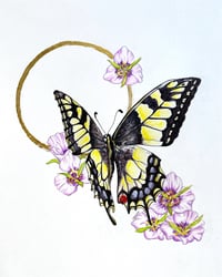 Mariposa Ascending
