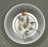 Image 12 of CLEARANCE!