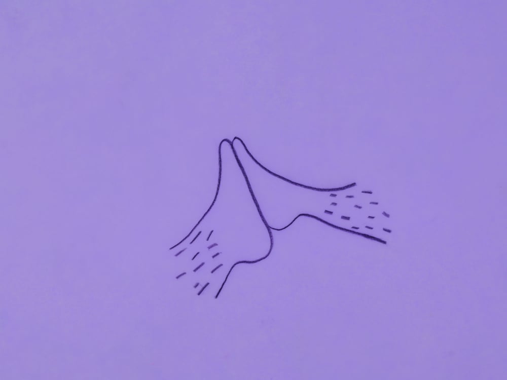 Image of Pépin Pomme, extrait de Pépin 3/10
