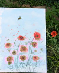 Image 2 of Poppies with Bee