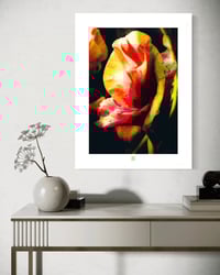 Image 4 of HEY, ORANGE BUD (24X18)