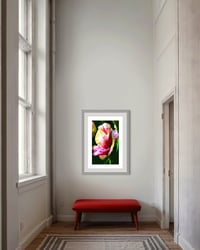 Image 4 of HEY, BUD (36X24)