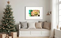 Image 2 of THE VAN GOGH DAHLIA 