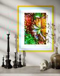 Image 3 of TECHNICOLOR DAHLIAS (24X18)