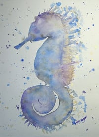 SEAHORSE
