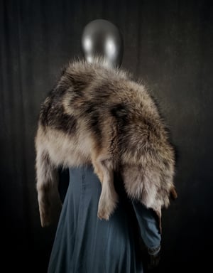 Image of Wolf Skin Cloak