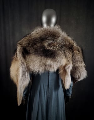 Image of Wolf Skin Cloak