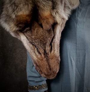 Image of Wolf Skin Cloak