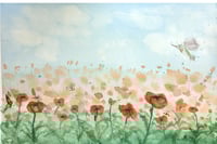 Poppy Fields Forever