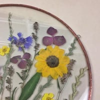 Image 4 of Fields Of Joy