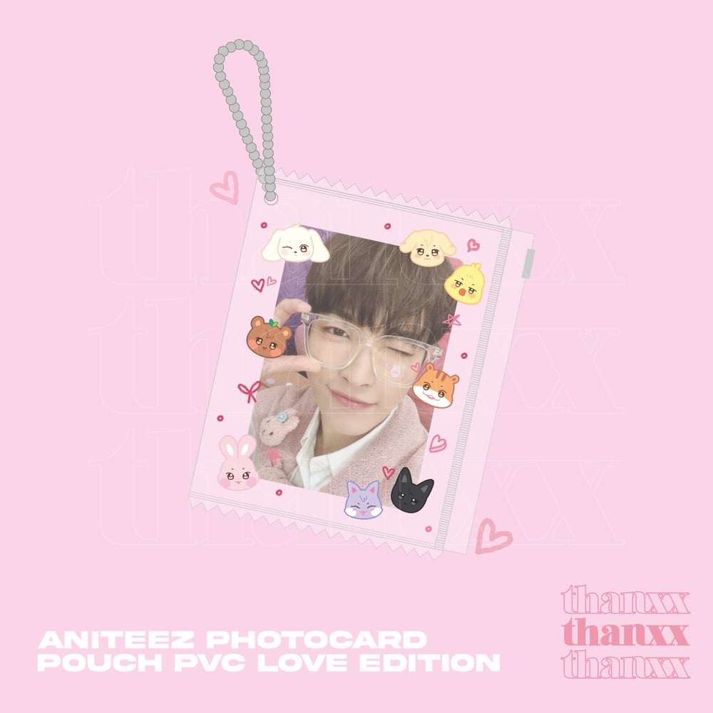 Image of Pre order | ANITEEZ PHOTOCARD POUCH PVC