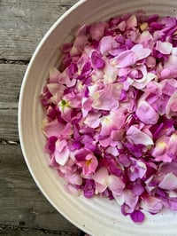 Image 4 of Rose Petal and Hip Cream 