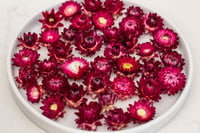 Image 1 of 60 Strawflower Heads - Purple Red Dragon Fire