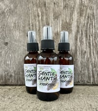 Image 4 of Gentle Giants Hydrosol 