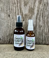 Image 2 of Gentle Giants Hydrosol 