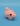 Curly the piggy