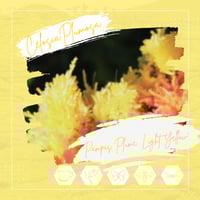 Image 1 of Celosia Plumosa - 'Pampas Plume Series: Light Yellow'