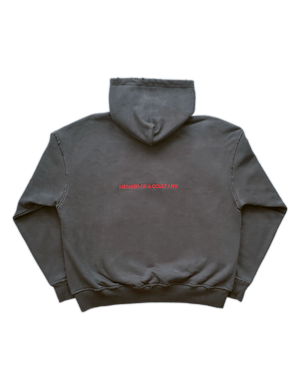 Image of Formula V Hoodie