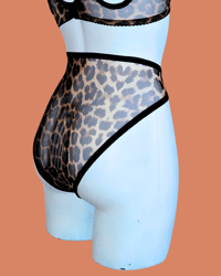 Image 2 of The FLOOZY leopard mesh Knicker