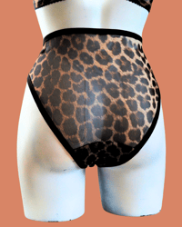 Image 3 of The FLOOZY leopard mesh Knicker