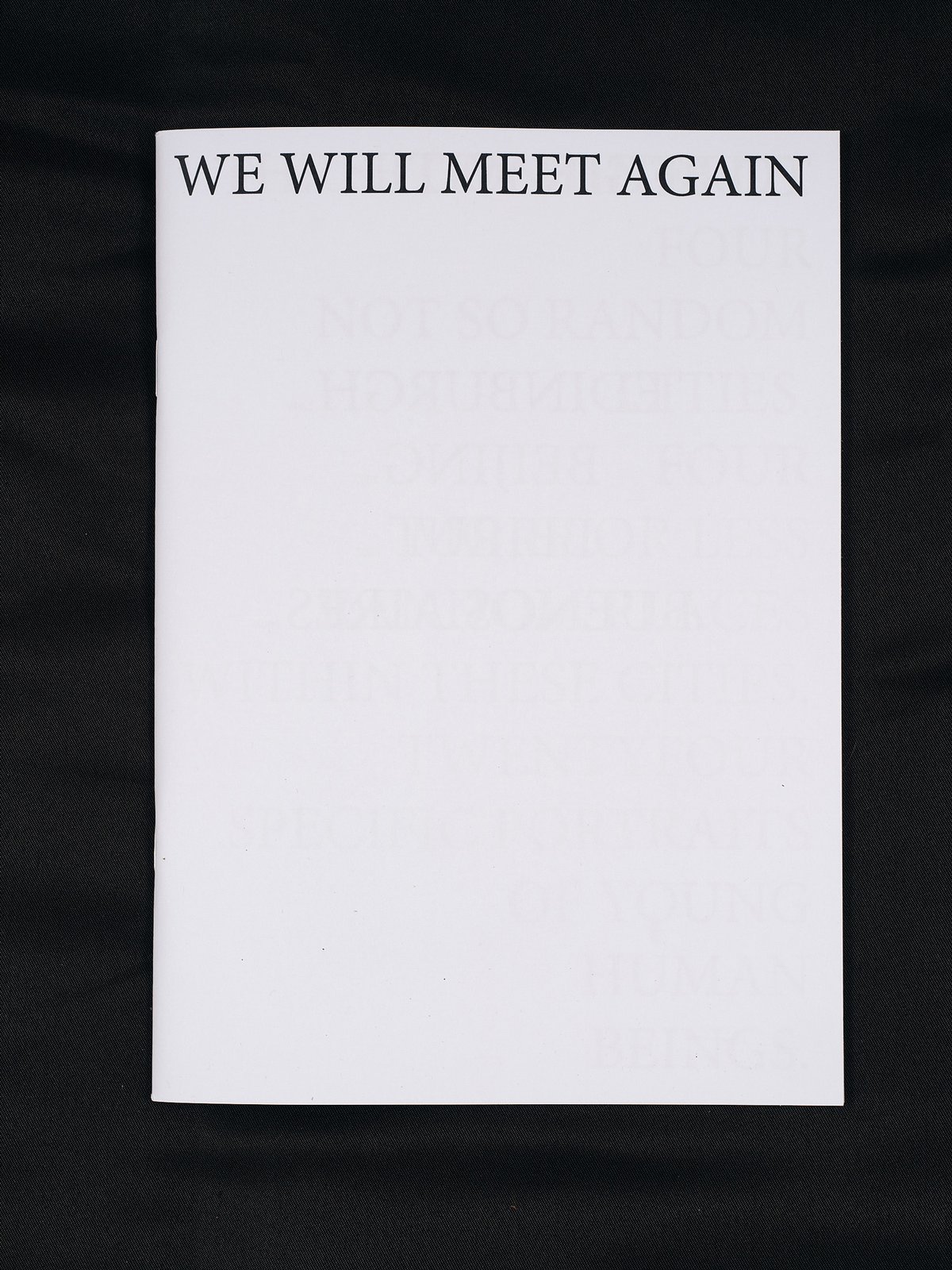 Image of WE WILL MEET AGAIN