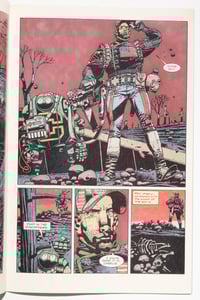Image 6 of The Last American by John Wagner, Alan Grant and Mike McMahon
