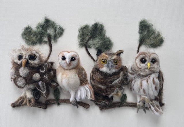 Image of 'Having a Hoot'