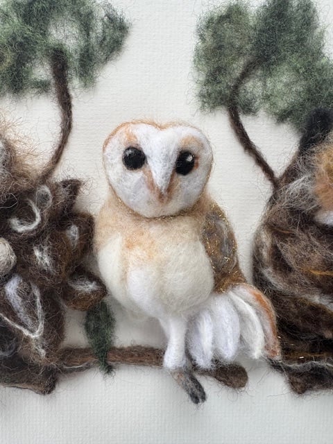 Image of 'Having a Hoot'