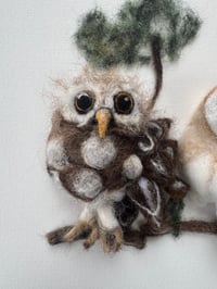 Image 3 of 'Having a Hoot'