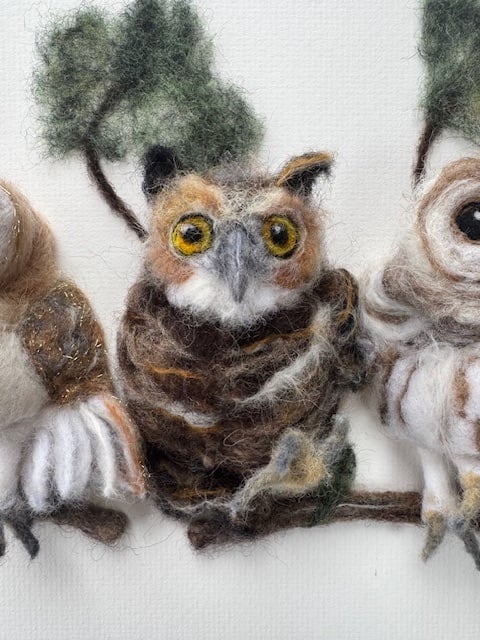 Image of 'Having a Hoot'