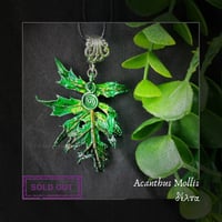 Image 4 of ☽ Acanthus Mollis ☾