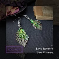 Image 1 of ☽ Fagus Nero Viridium ☾