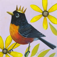 Flowers Robin