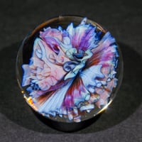 Image 3 of Pastel Dbl Scroll Implsion Marble
