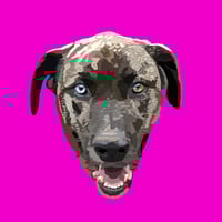 Image 3 of Digital pet portraits (head only)