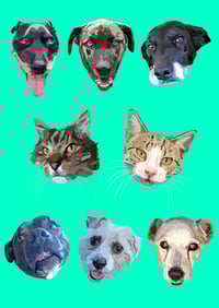 Image 1 of Digital pet portraits (head only)
