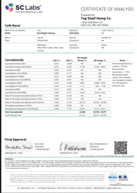 Image 3 of Lab COA 2