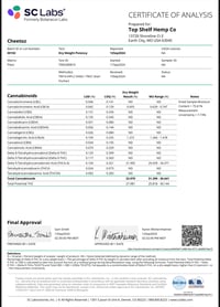 Image 5 of Lab COA 3