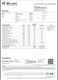 Image 3 of Lab COA 3
