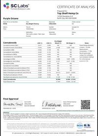 Image 14 of Lab COA 3