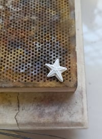Image 2 of Genuine Sea Glass, Sterling Silver Sea-Star/Starfish Drop Earrings