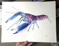 Image 1 of Ecrevisse Cherax ( Oeuvre Originale)