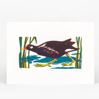 Image 1 of Moorhen silkscreen print