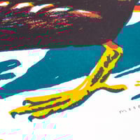 Image 3 of Moorhen silkscreen print