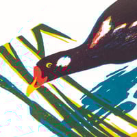 Image 2 of Moorhen silkscreen print