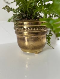 Image 1 of Small Vintage Brass Plant Pot