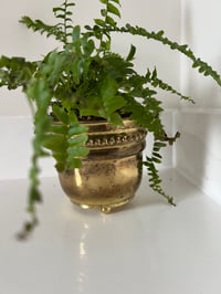Image 2 of Small Vintage Brass Plant Pot