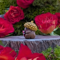 Image 7 of Valentine Acorn Babies 