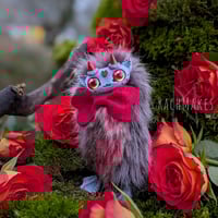Image 2 of Fancy First Date Staglett