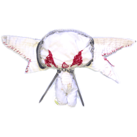 Image 1 of Little Freak Salvage Plush